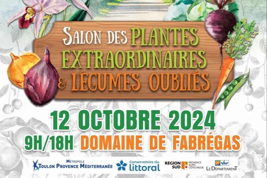 SALON DES PLANTES EXTRAORDINAIRES ET LÉGUMES OUBLIÉS à La Seyne-sur-Mer